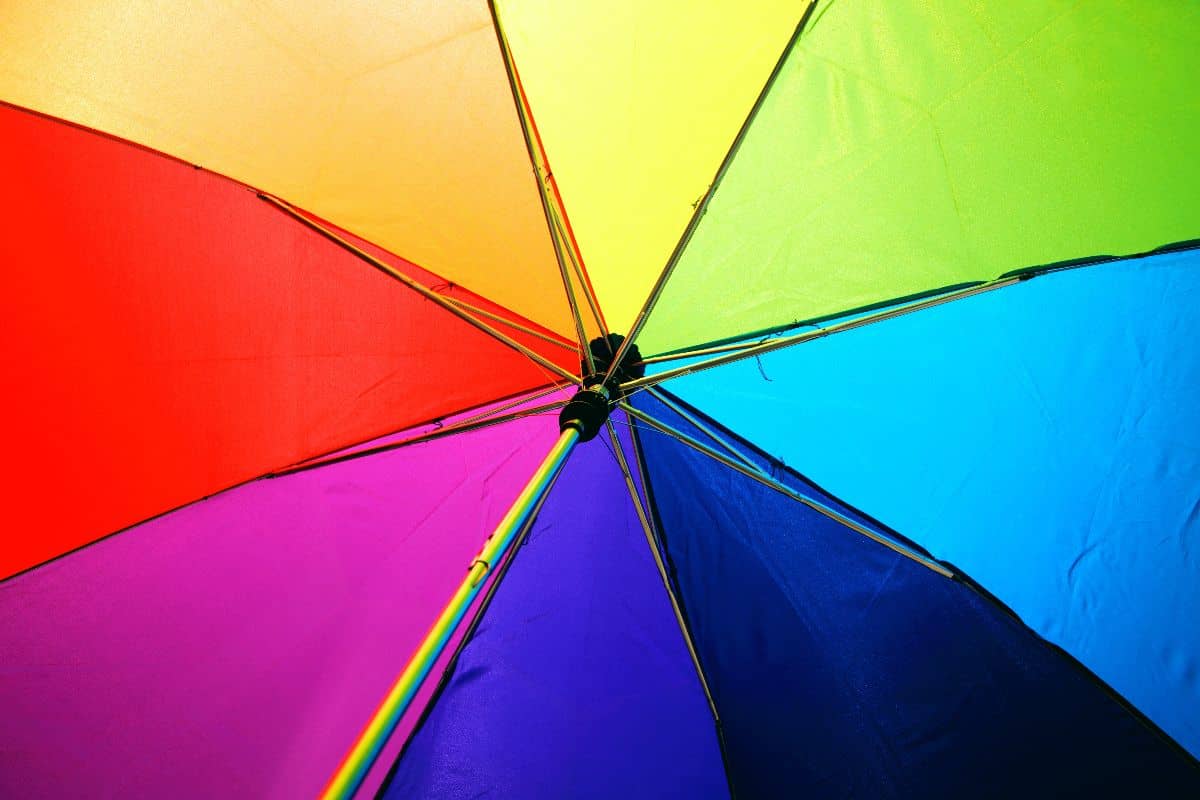 Transgender Life Insurance, umbrella of all colours