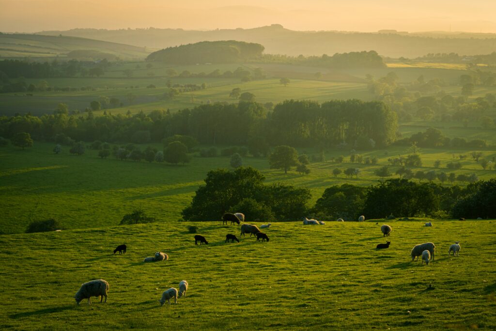 Farm life insurance