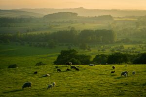 Farm life insurance